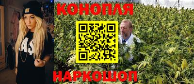 кокс Донской